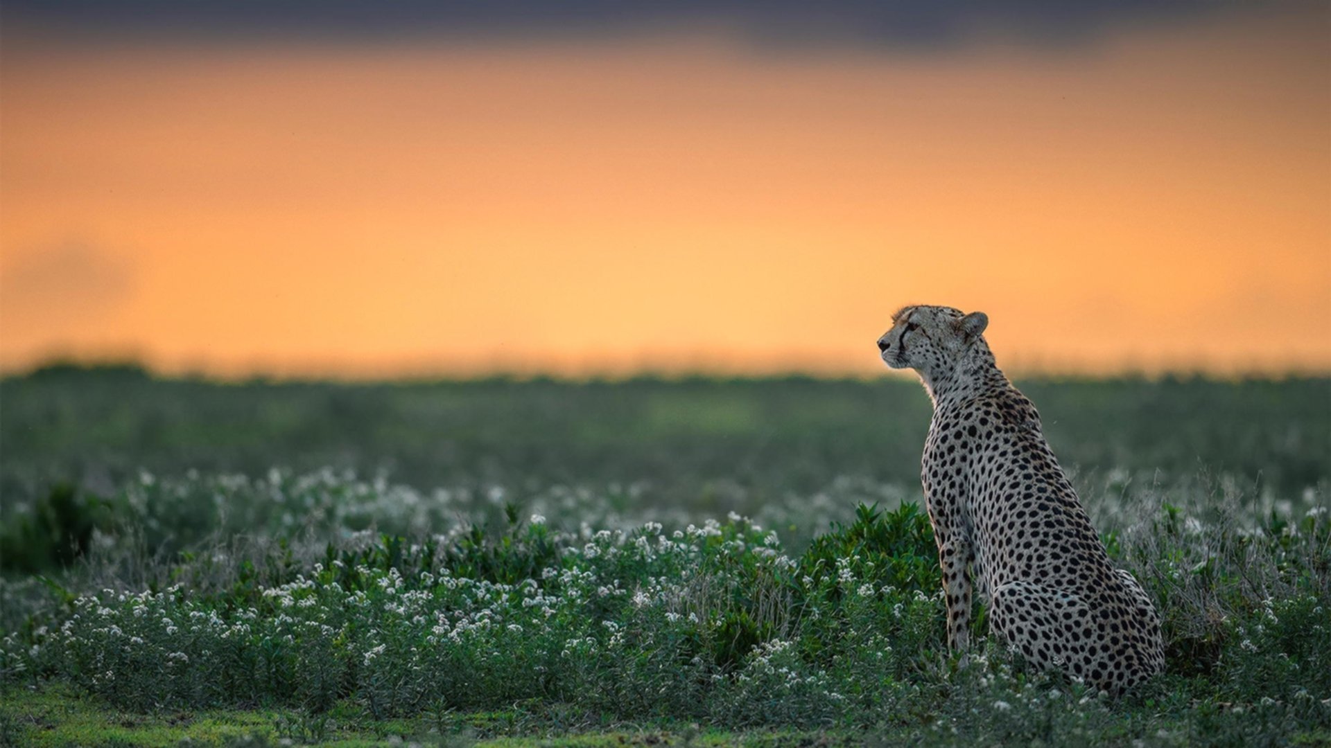幽灵般的碾压，凡人之躯的胜利，勒克莱尔暴雨中的惊天逆转