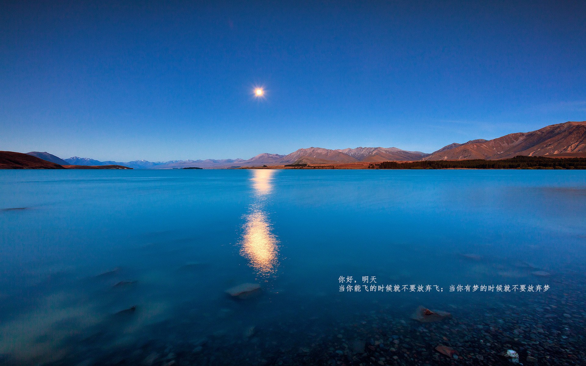 当巴伐利亚的风吹过西非草原,拜仁的横扫与若日尼奥的惊艳革命