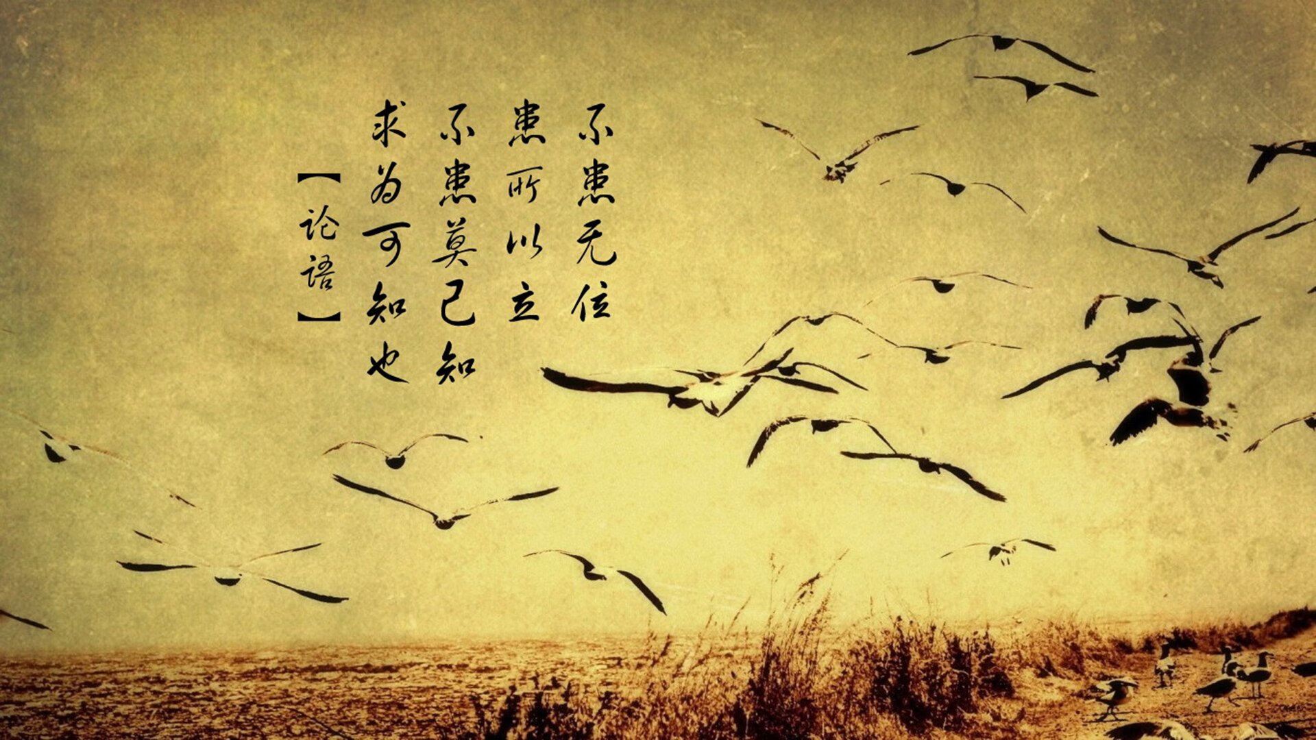 双城记,曼彻斯特的钢铁纪律与巴塞罗那的魔法瞬间