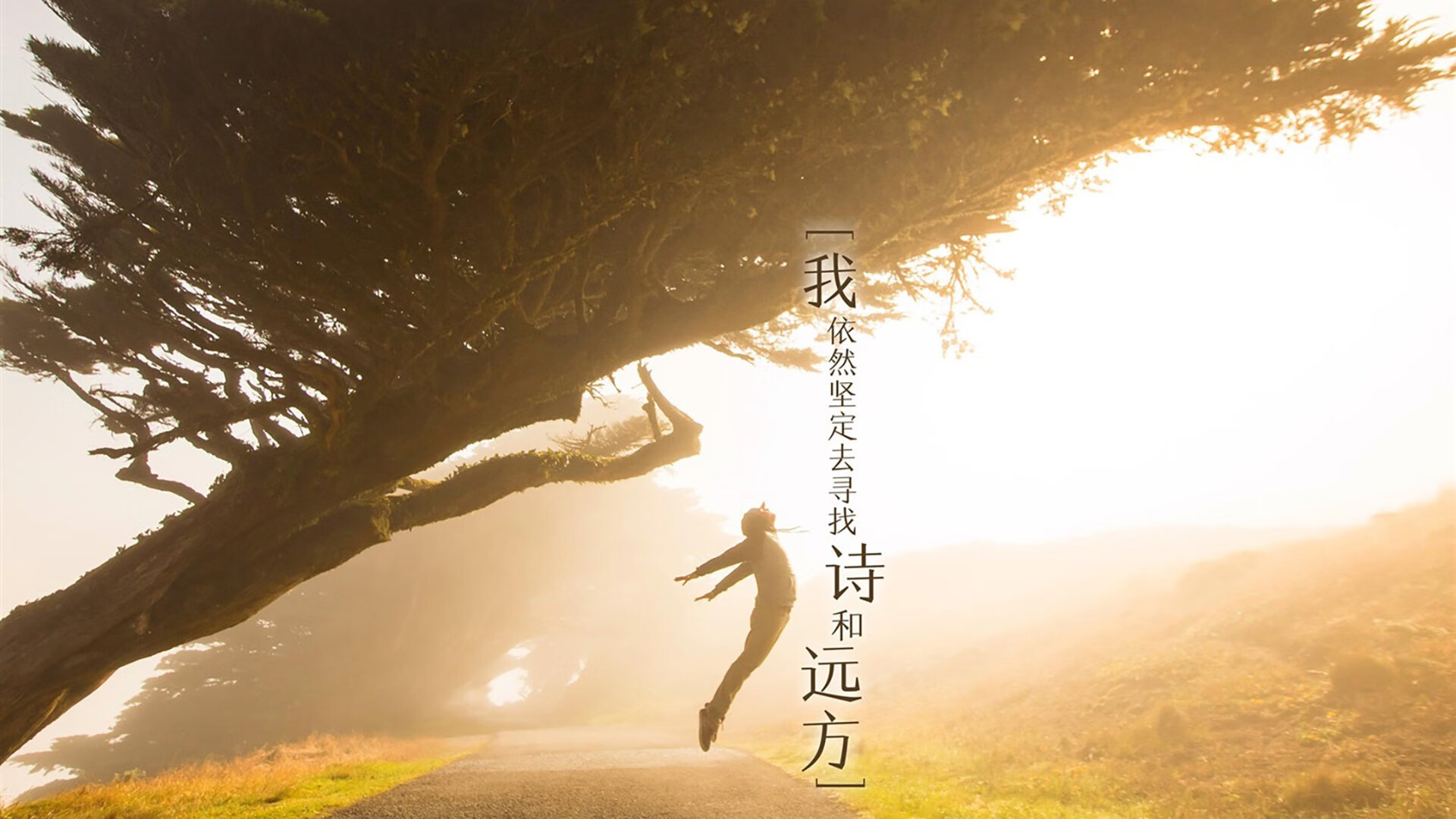 终结的艺术,从德甲争冠焦点到马刺的战术启示