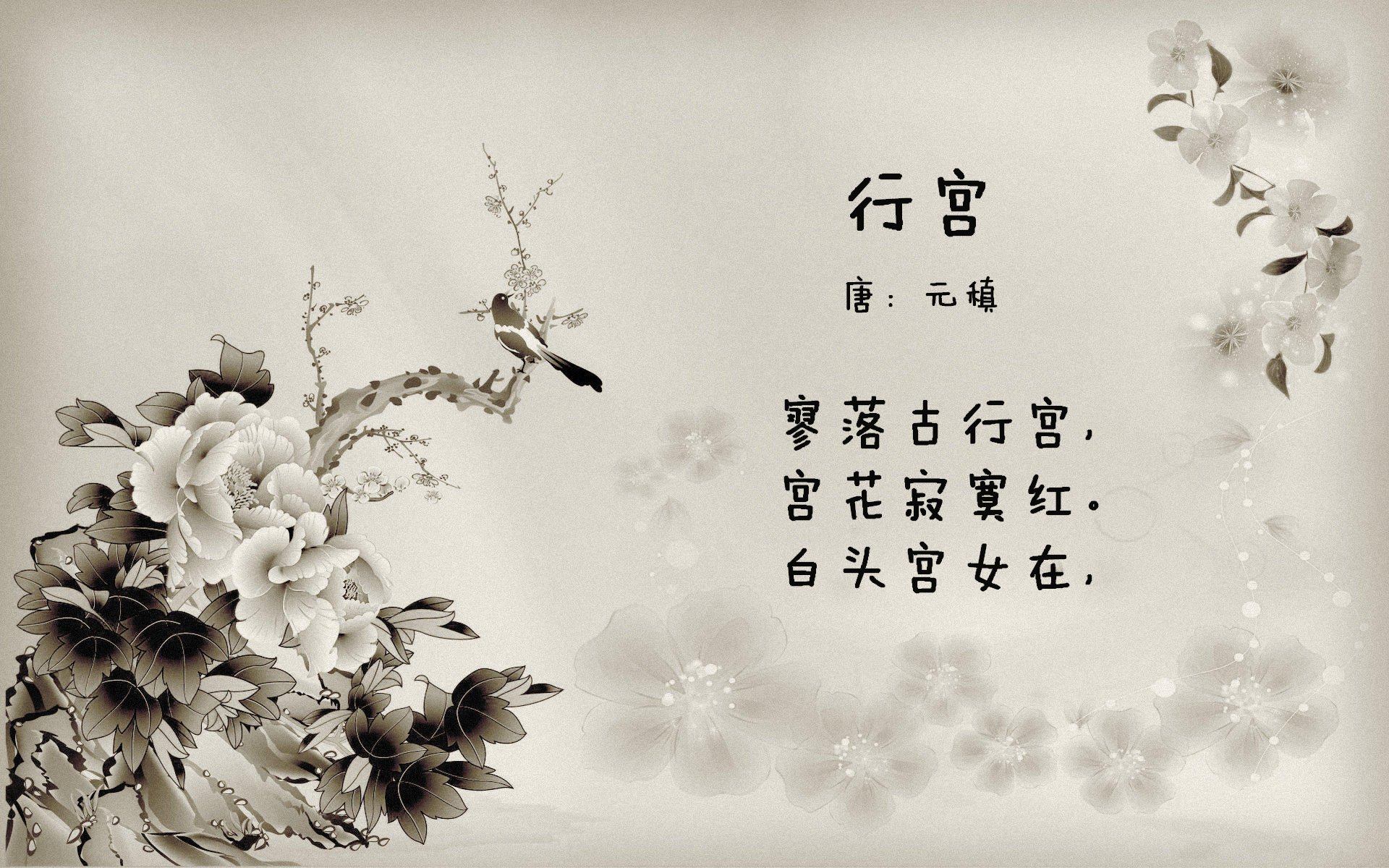 当聚光灯亮起,恩比德就是世界的中心