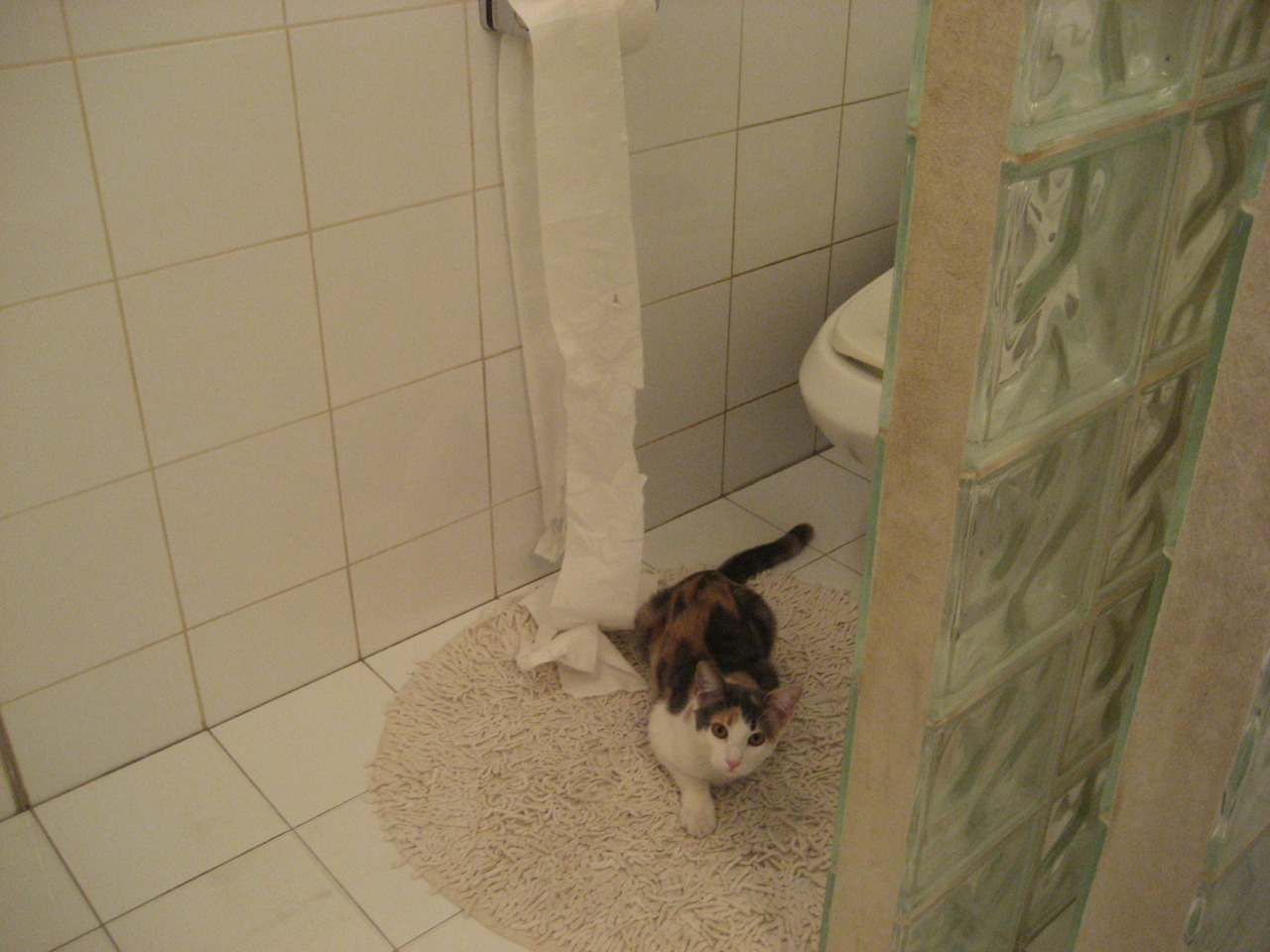 欧洲足坛的硬仗艺术,卡瓦哈尔的刚韧与那不勒斯的战术完胜