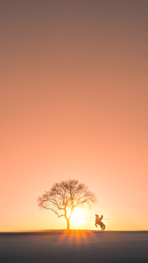 他如F1赛车般划过午夜球场，文班亚马在街道赛之夜主宰胜负方程式