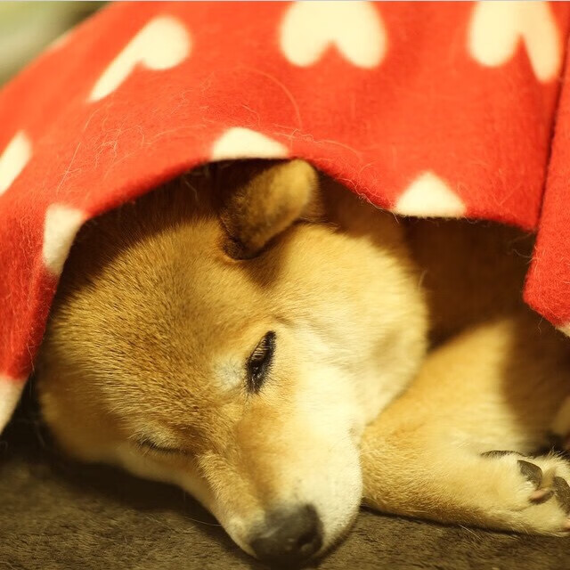 华美金舞与冷酷利刃，维尼修斯如何用一个夜晚定义时代