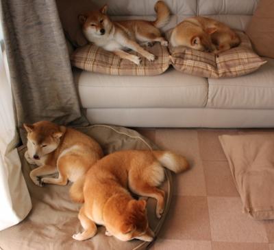 步行者绝境重生，克莱末节三分雨浇灭北京队翻盘希望