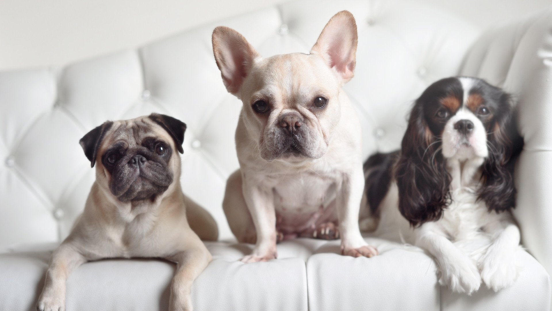 一，拉文50分天神下凡难救主！步行者加时鏖战降黄蜂二，个人英雄主义与团队胜利的对话，拉文封神之夜不敌步行者加时坚韧