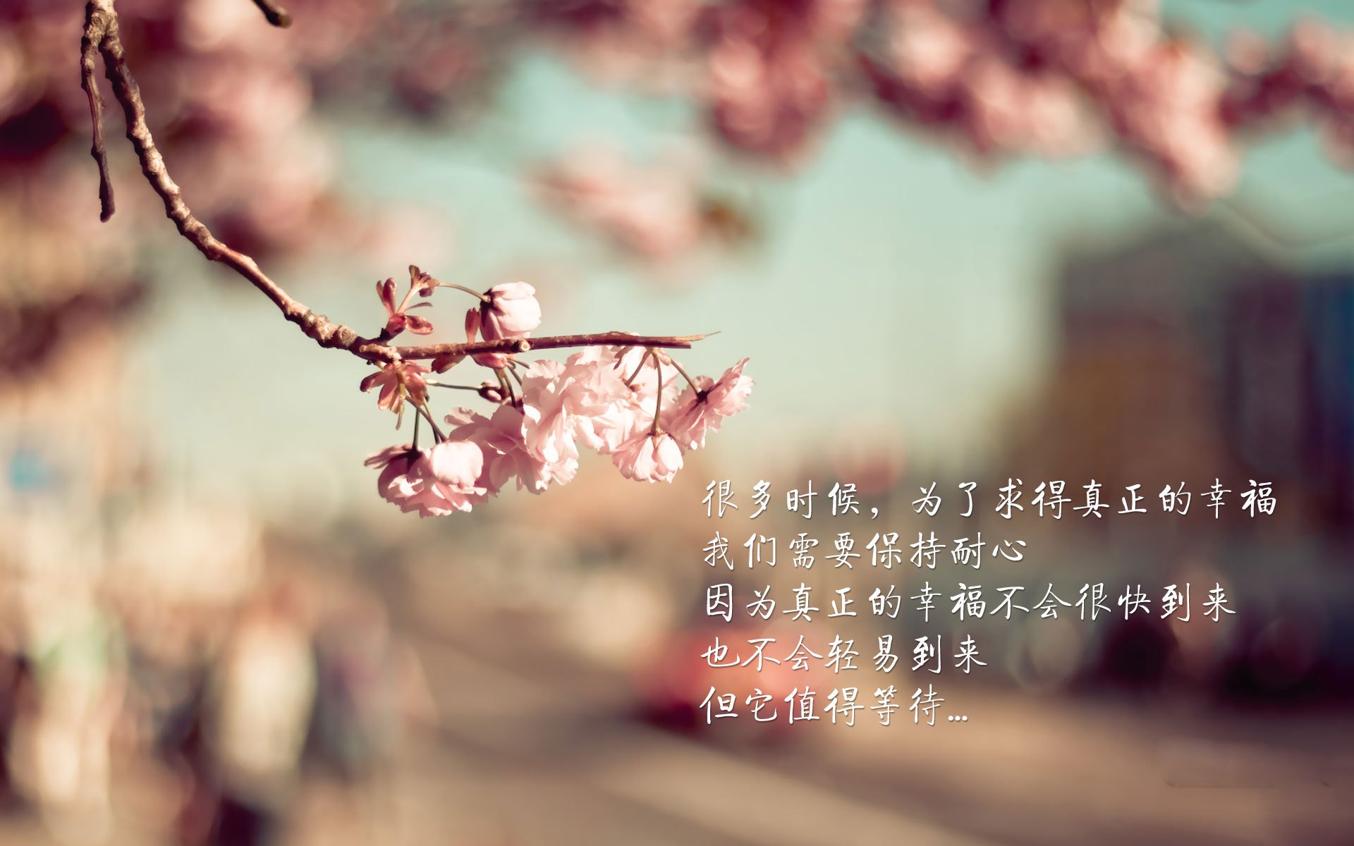 极光下的铁闸，当冰岛寒流遭遇塞维利亚烈焰，卡塞米罗如何成为攻防棋眼？