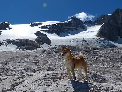 伊萨克领军创奇迹，哥伦比亚友谊赛唯一性胜利，力克豪门马德里竞技