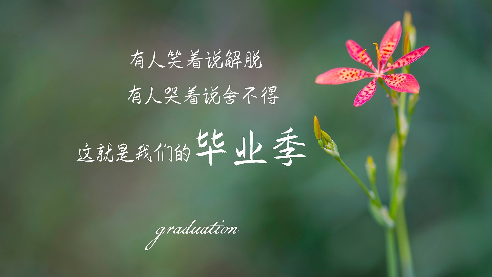 碾压之夜，喀麦隆的狂潮与波兰的崩塌—2026世界杯B组关键战，萨内领导下的爆发