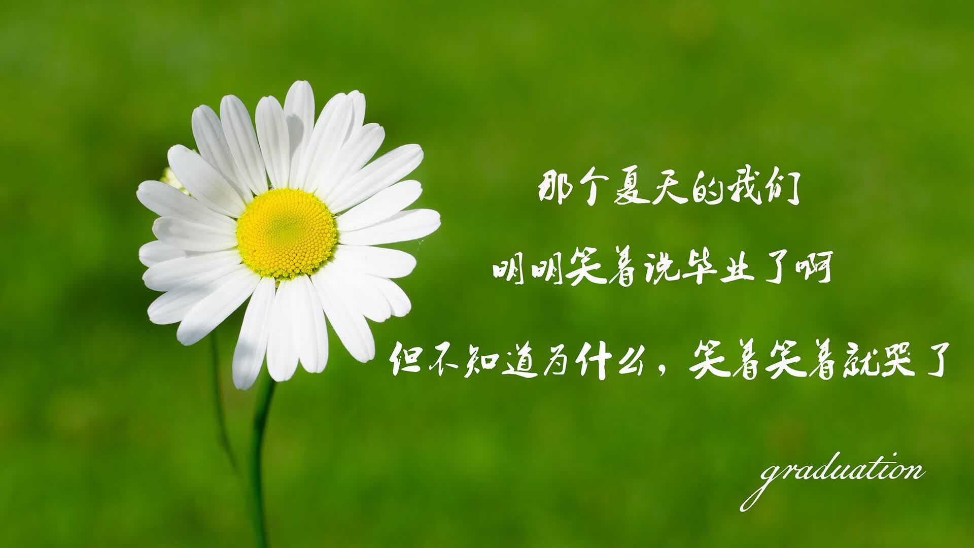 最后十分钟,当保加利亚在2026世界杯淘汰赛中颠覆世界,而福登的光芒穿透所有预言