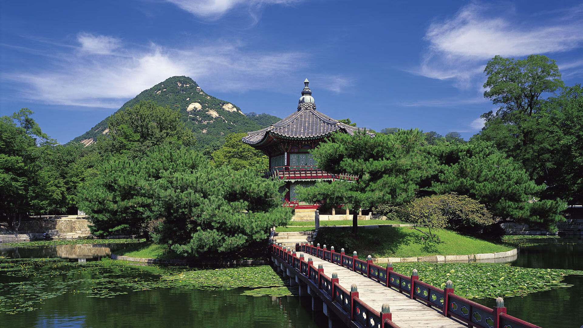 沙漠中的蓝黄风暴，萨内导演逆转神话，哥伦比亚在2026世界杯A组写下不朽诗篇